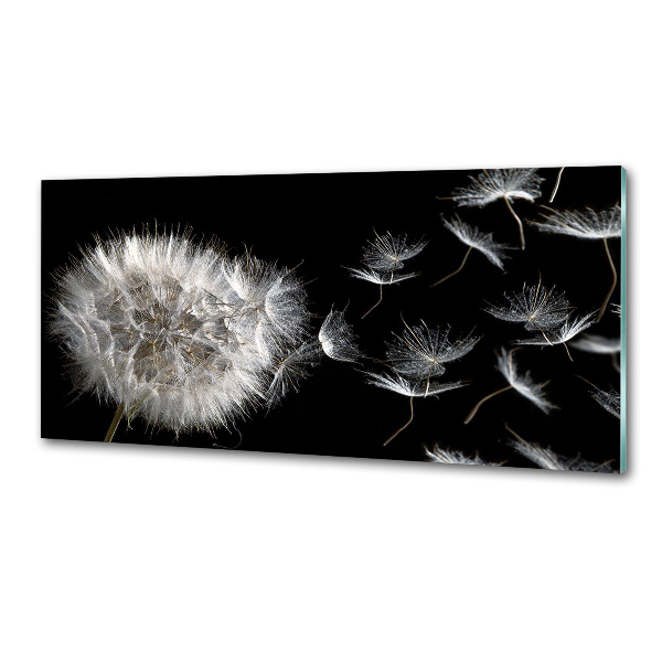 Cooker splashback Dandelion