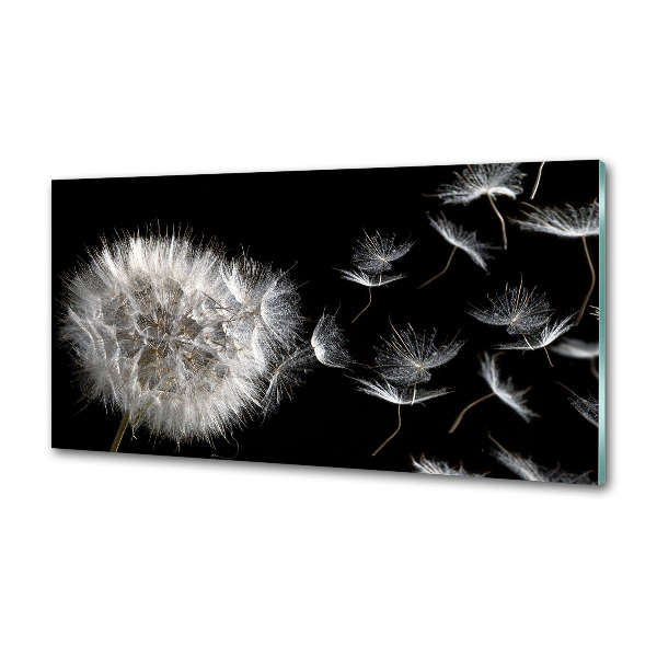 Cooker splashback Dandelion