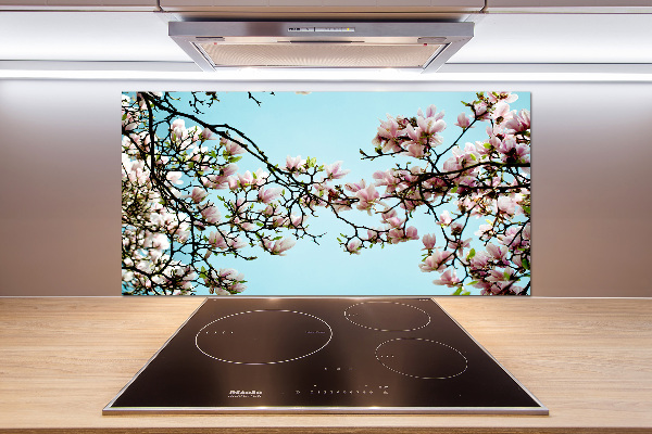 Cooker splashback Magnolia flowers