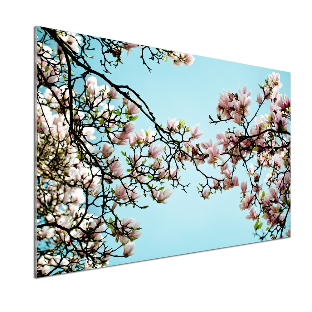 Cooker splashback Magnolia flowers