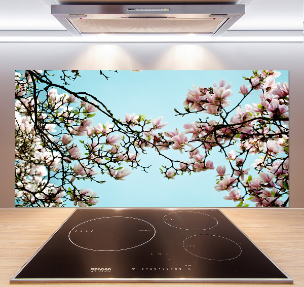 Cooker splashback Magnolia flowers