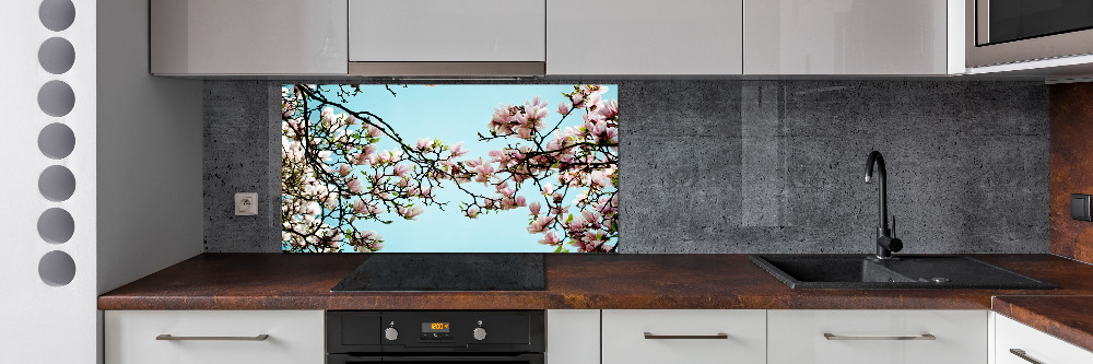 Cooker splashback Magnolia flowers