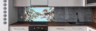 Cooker splashback Magnolia flowers