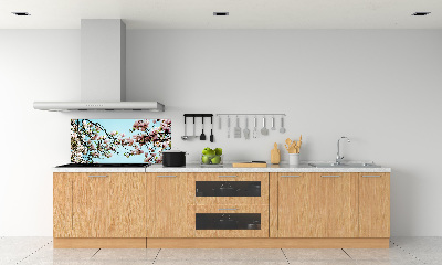 Cooker splashback Magnolia flowers