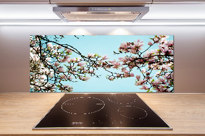 Cooker splashback Magnolia flowers