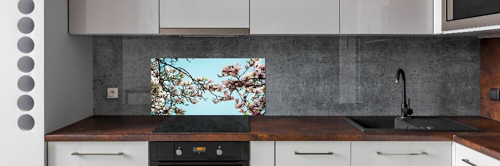 Cooker splashback Magnolia flowers