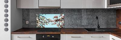 Cooker splashback Magnolia flowers