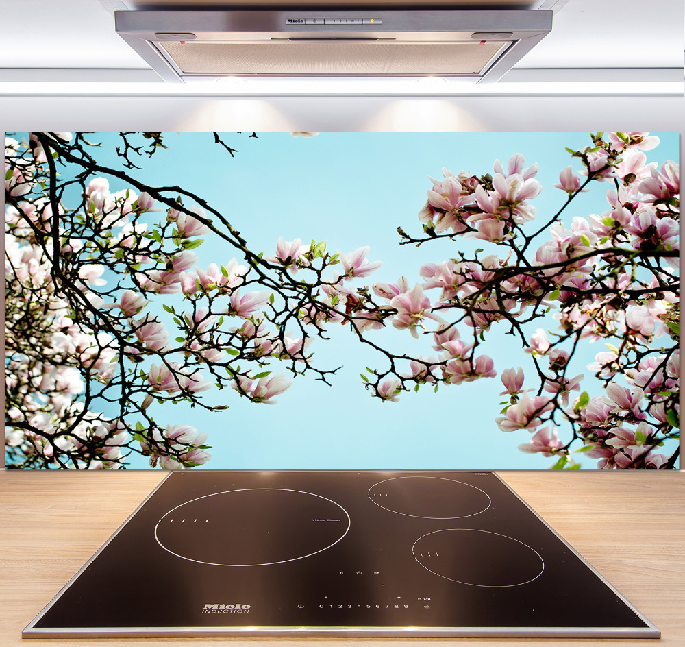 Cooker splashback Magnolia flowers