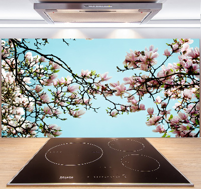 Cooker splashback Magnolia flowers