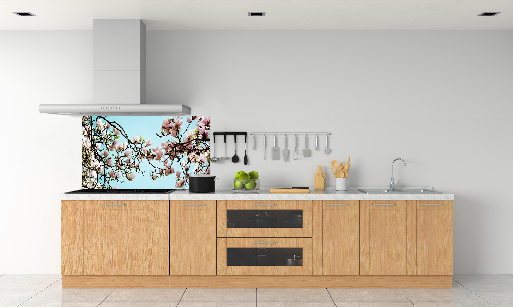 Cooker splashback Magnolia flowers