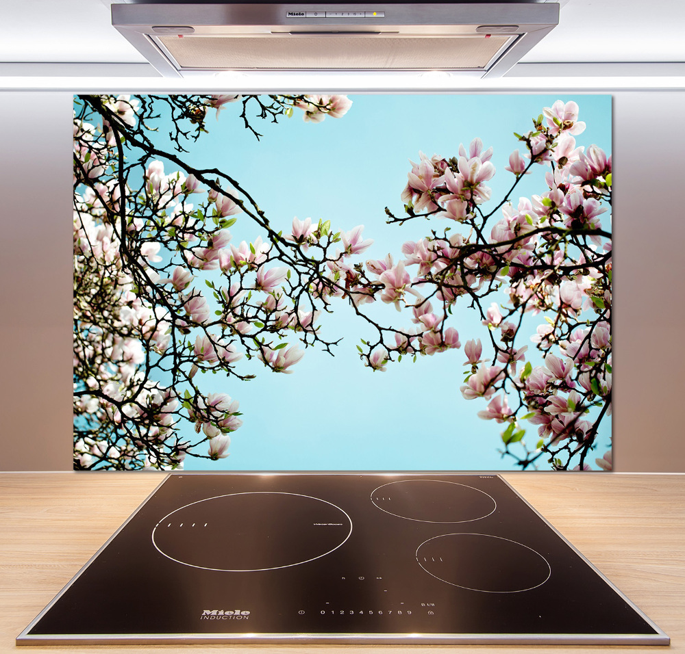 Cooker splashback Magnolia flowers