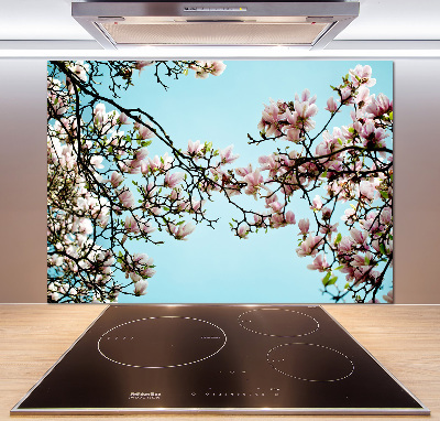 Cooker splashback Magnolia flowers