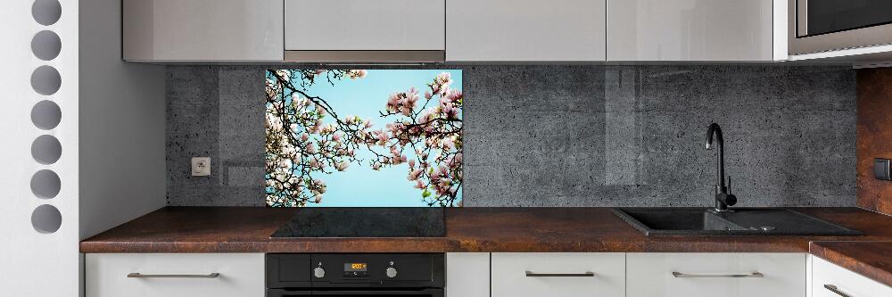 Cooker splashback Magnolia flowers