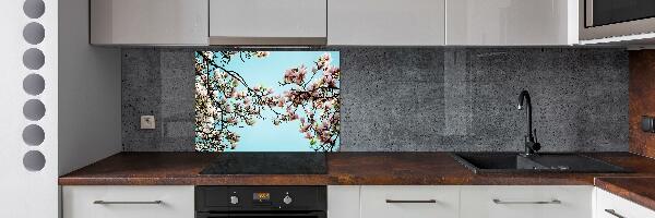 Cooker splashback Magnolia flowers