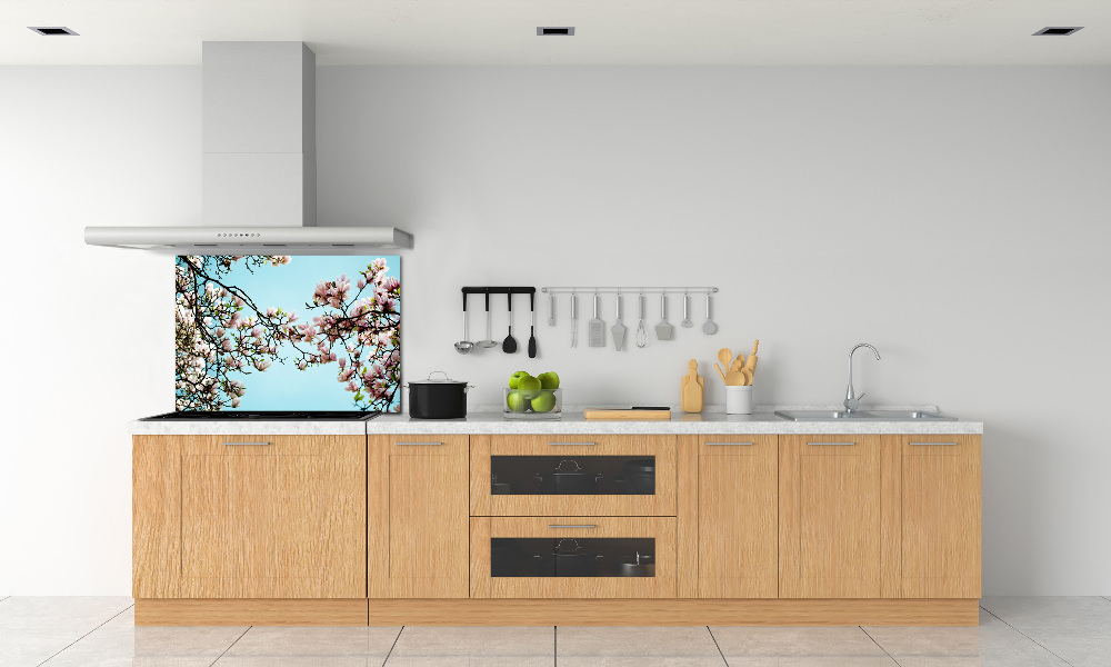 Cooker splashback Magnolia flowers