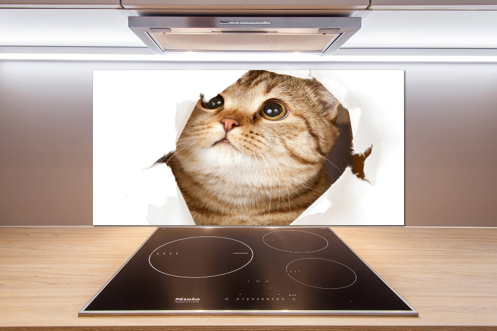 Glass splashback Cat