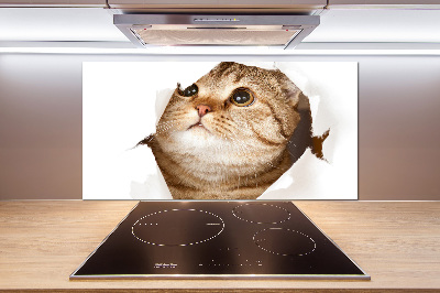 Glass splashback Cat