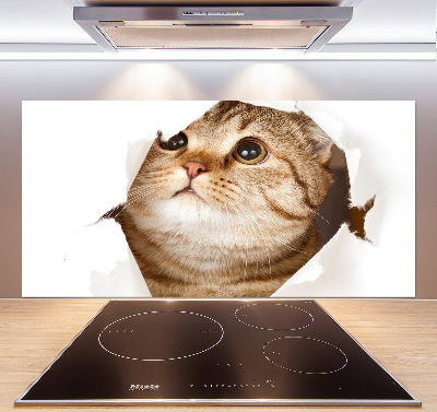 Glass splashback Cat