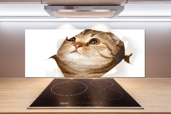 Glass splashback Cat