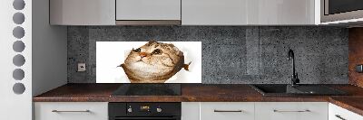 Glass splashback Cat