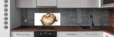 Glass splashback Cat