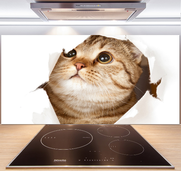 Glass splashback Cat