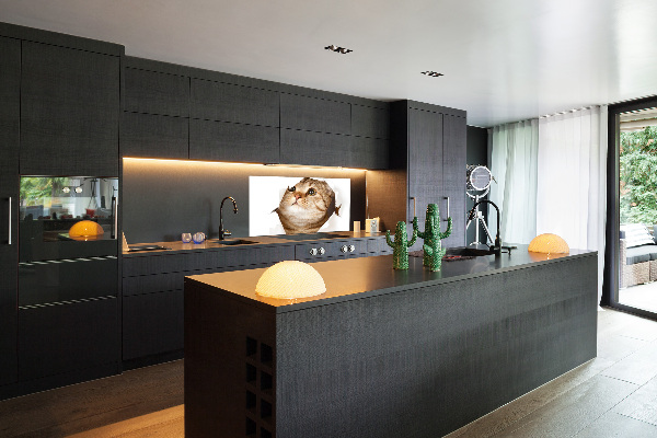 Glass splashback Cat