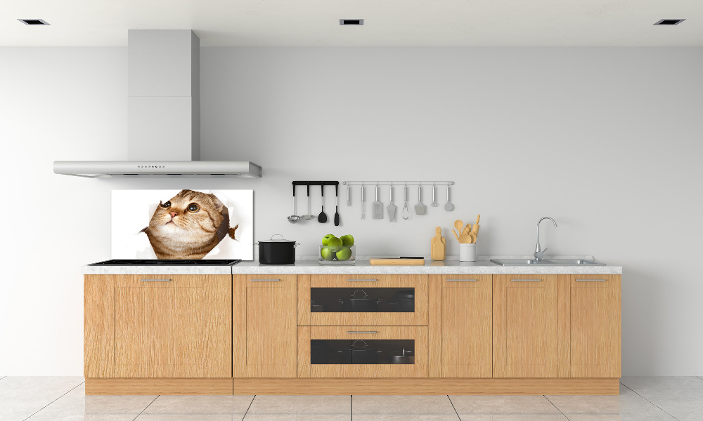 Glass splashback Cat