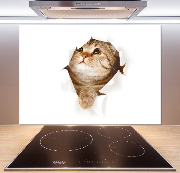 Glass splashback Cat