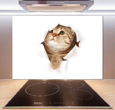 Glass splashback Cat