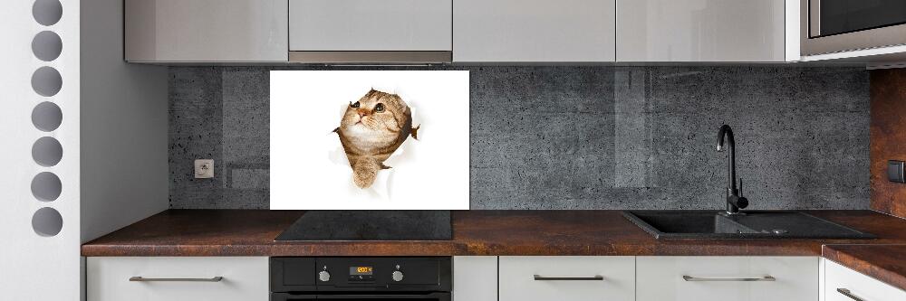 Glass splashback Cat