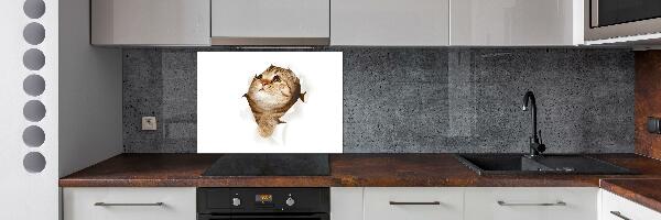 Glass splashback Cat