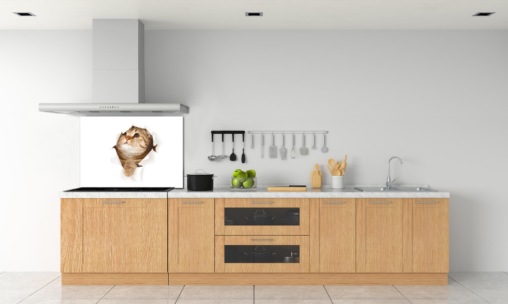 Glass splashback Cat