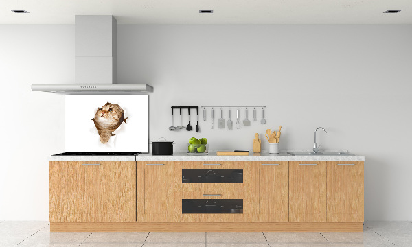 Glass splashback Cat