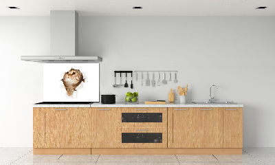 Glass splashback Cat