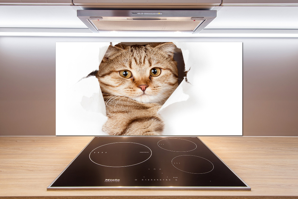 Glass splashback Cat