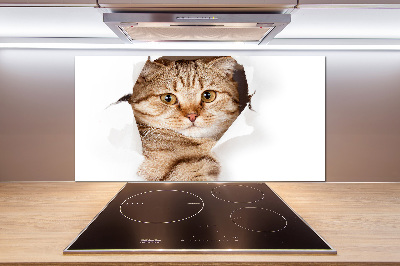 Glass splashback Cat