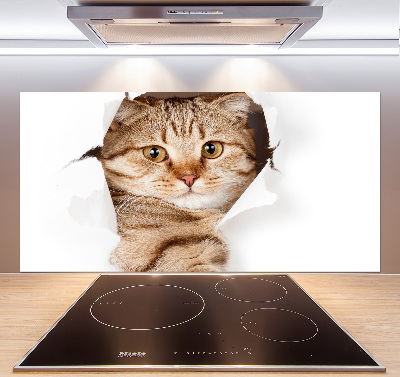 Glass splashback Cat