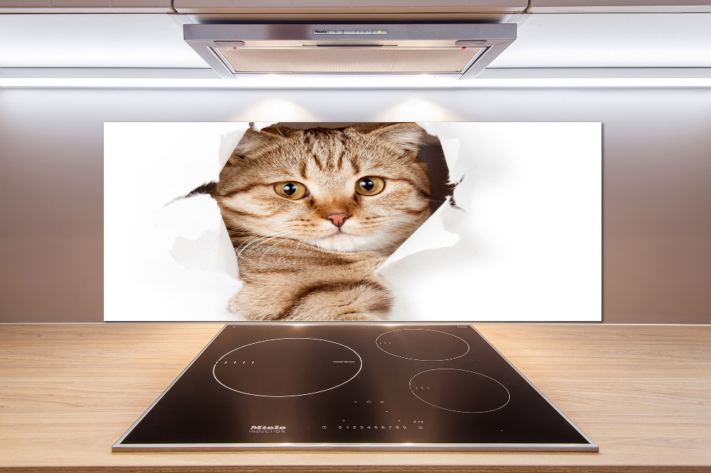 Glass splashback Cat