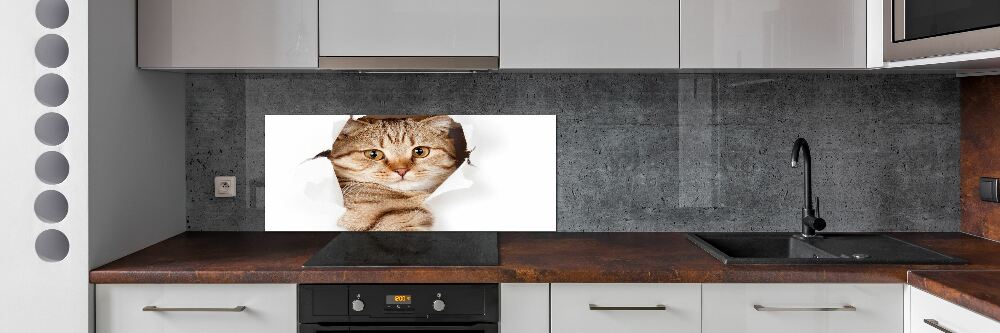 Glass splashback Cat