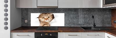 Glass splashback Cat