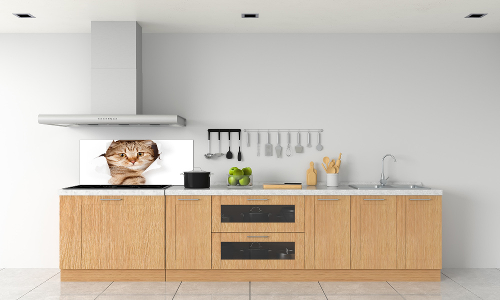 Glass splashback Cat