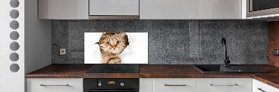 Glass splashback Cat