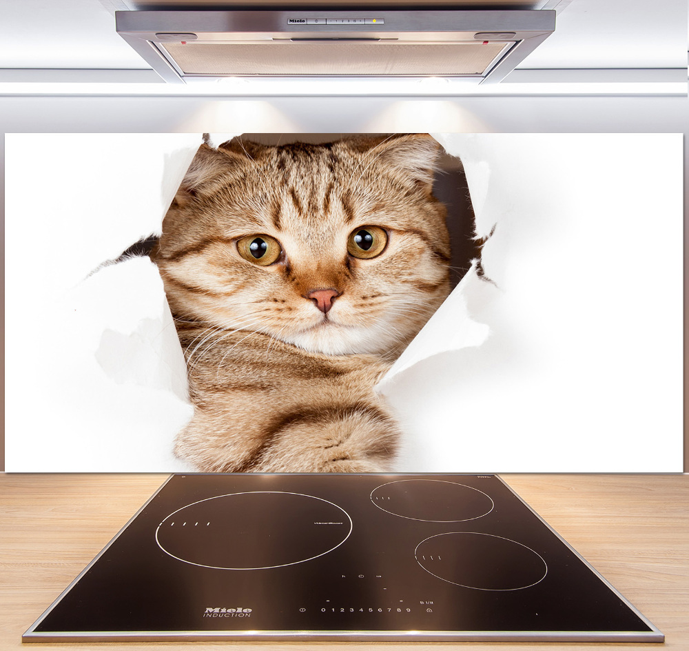 Glass splashback Cat