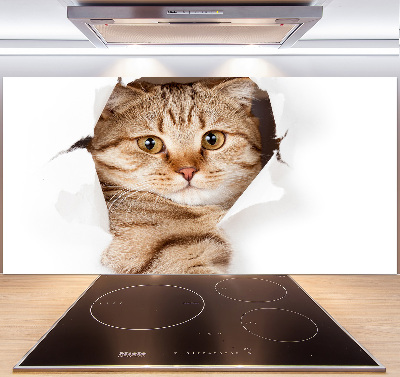 Glass splashback Cat