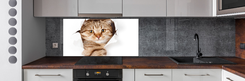 Glass splashback Cat