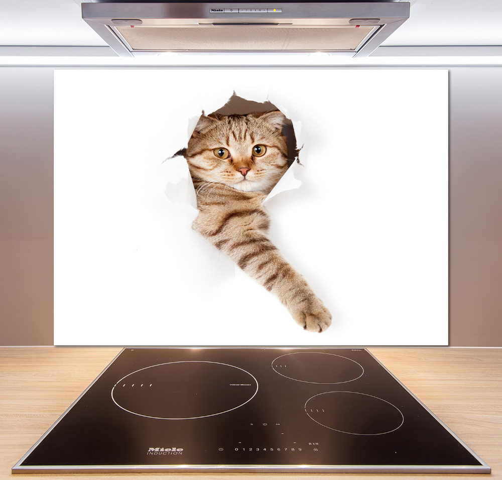 Glass splashback Cat