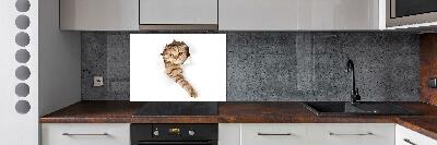 Glass splashback Cat