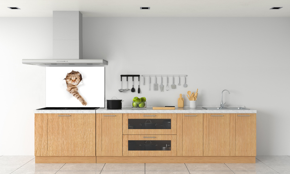 Glass splashback Cat