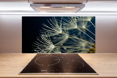 Cooker splashback Dandelion seeds